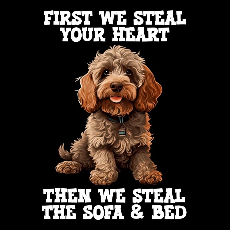 Cockapoo d’abord nous volons votre cœur