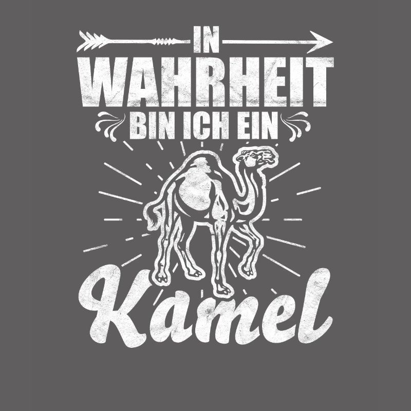 Kamel Kamel Kamel