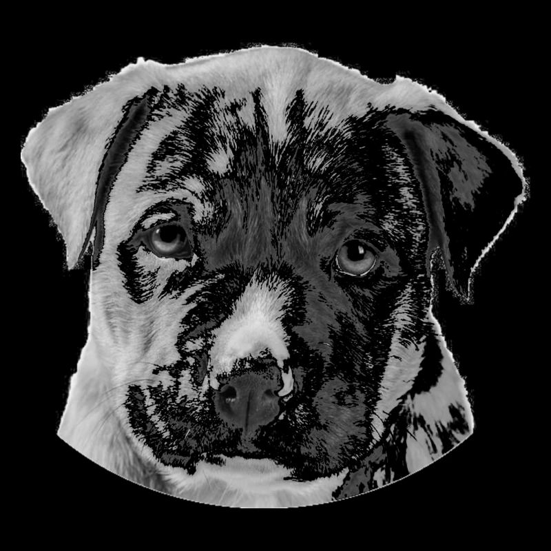 Tête de chien