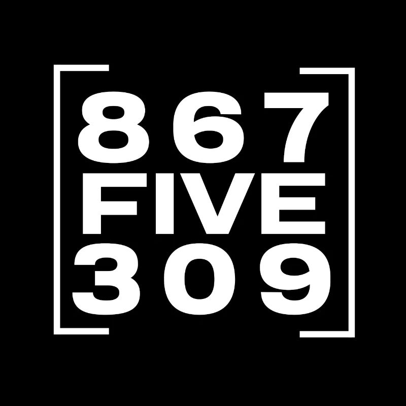 Vintage 867Five5309 Nostalgic and Funny 80's