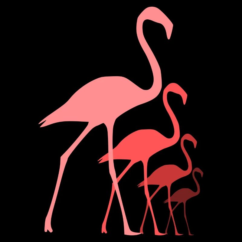 Flamingos