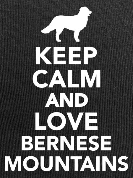 Bouvier Bernois