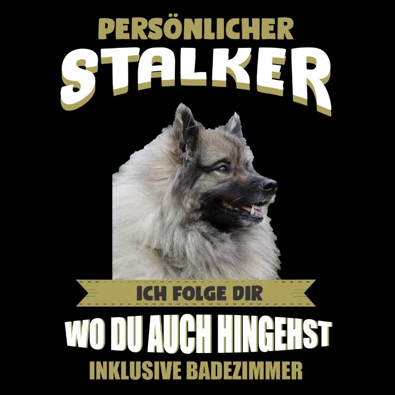 Wolfsspitz Hund - Wolfsspitz