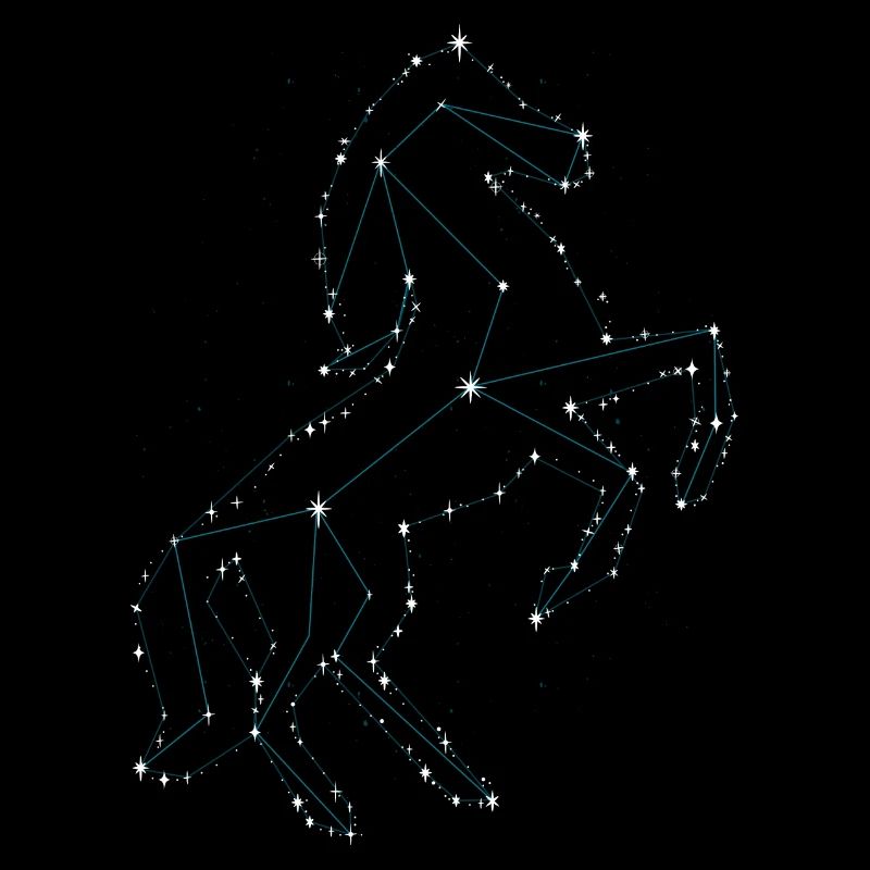 Pferd