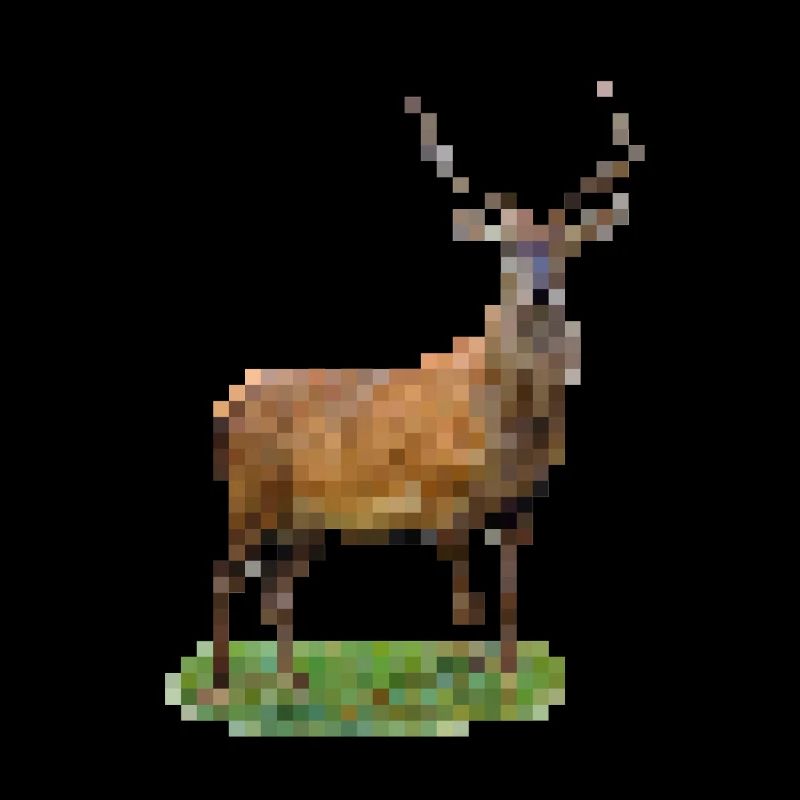 Pixel Hirsch