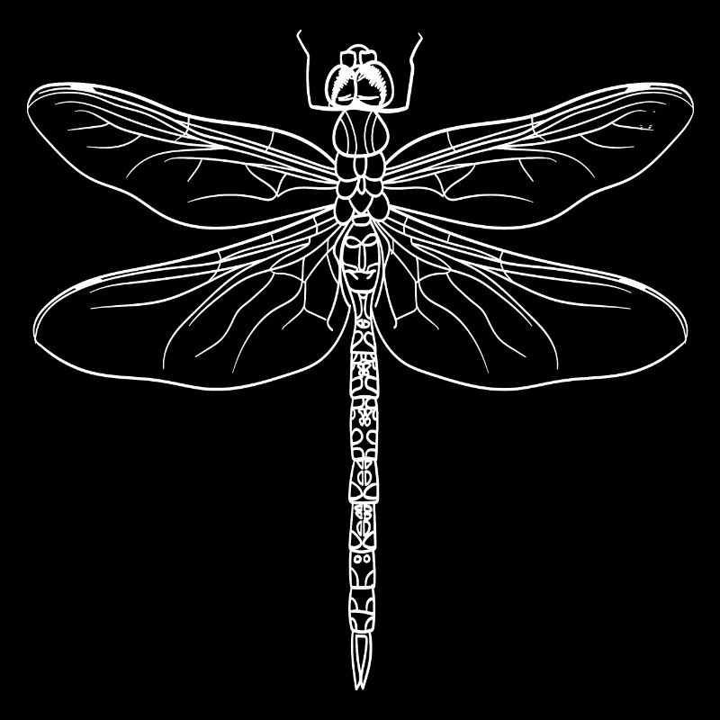 Libellule silhouette blanc