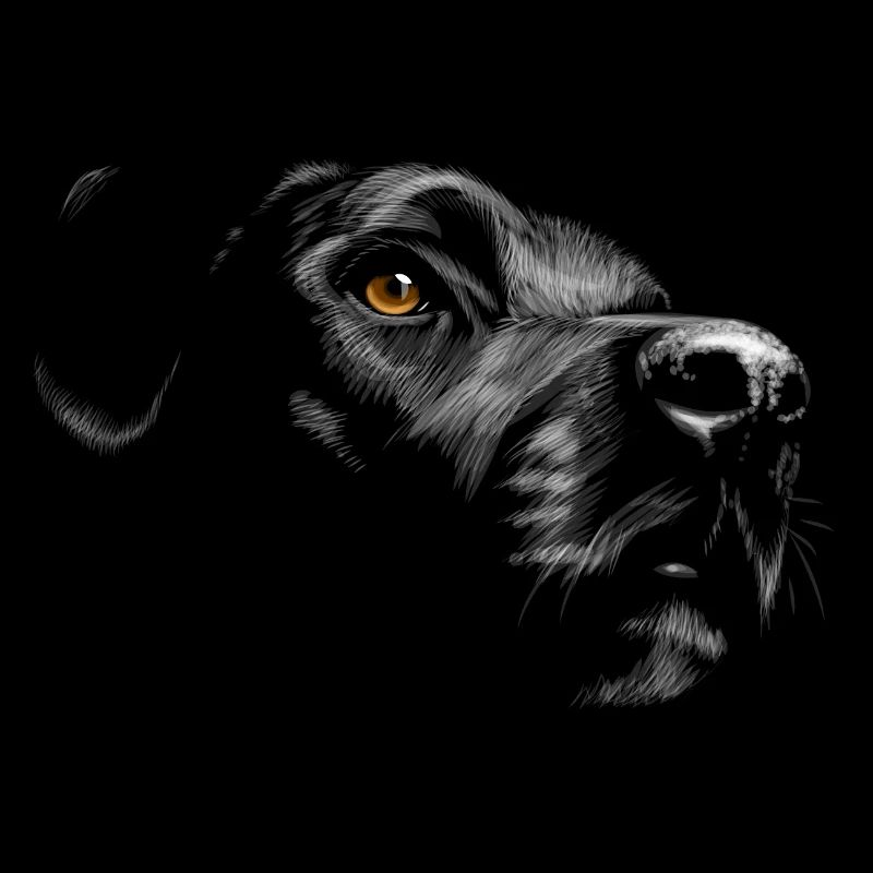Labrador