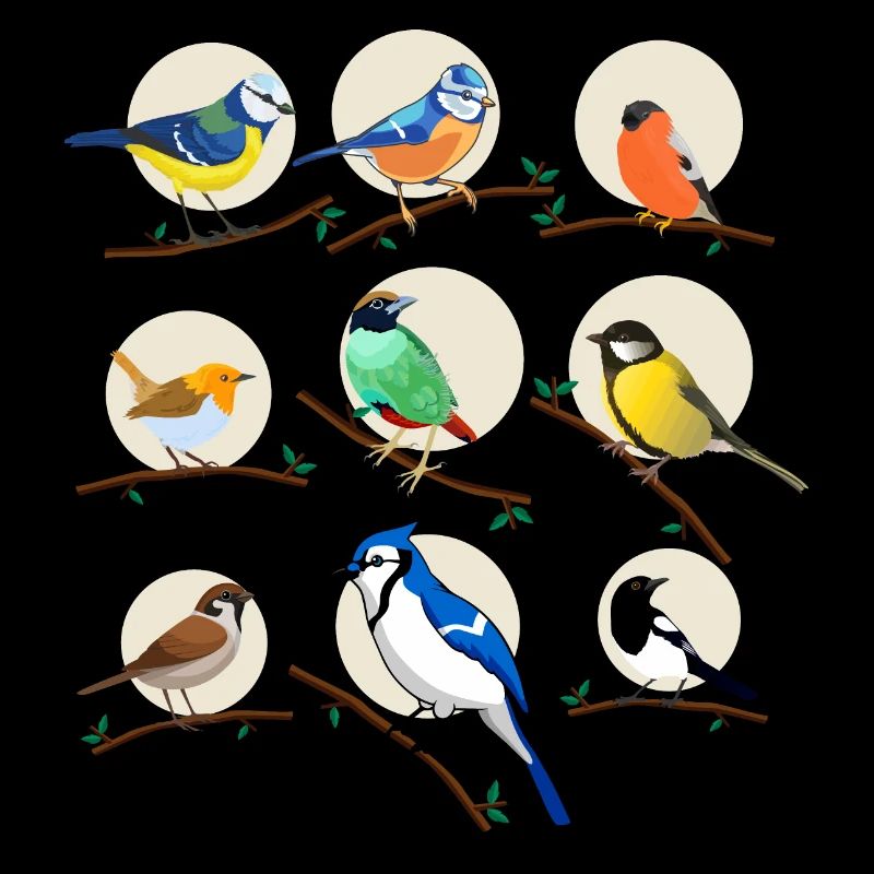 oiseaux, oiseaux, mésanges,