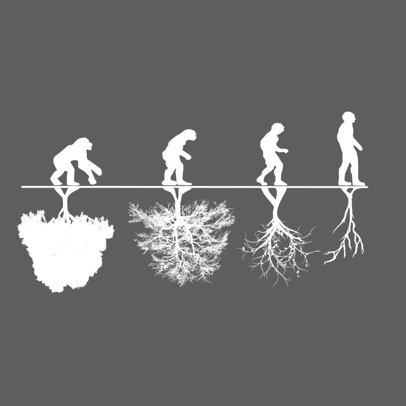 Critique d'évolution