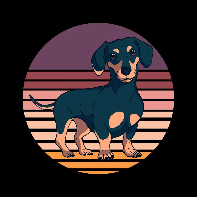 Dachshund Teckel Dackel