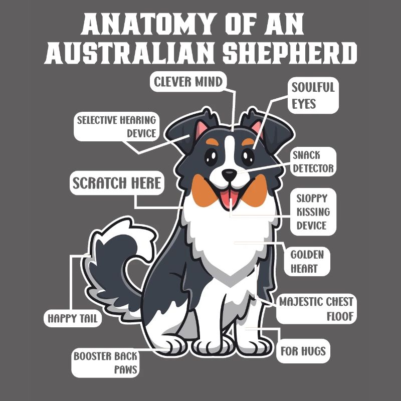 Australian Shepherd Aussie Dad Aussie Mom