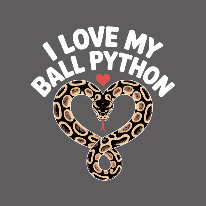 J’adore mon python royal ! Roi python