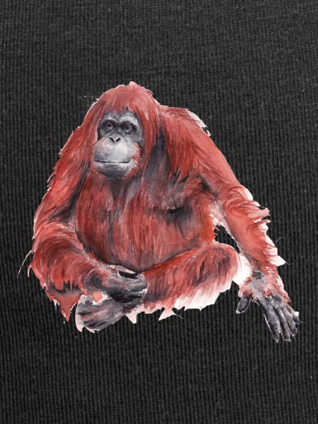 Orangutan