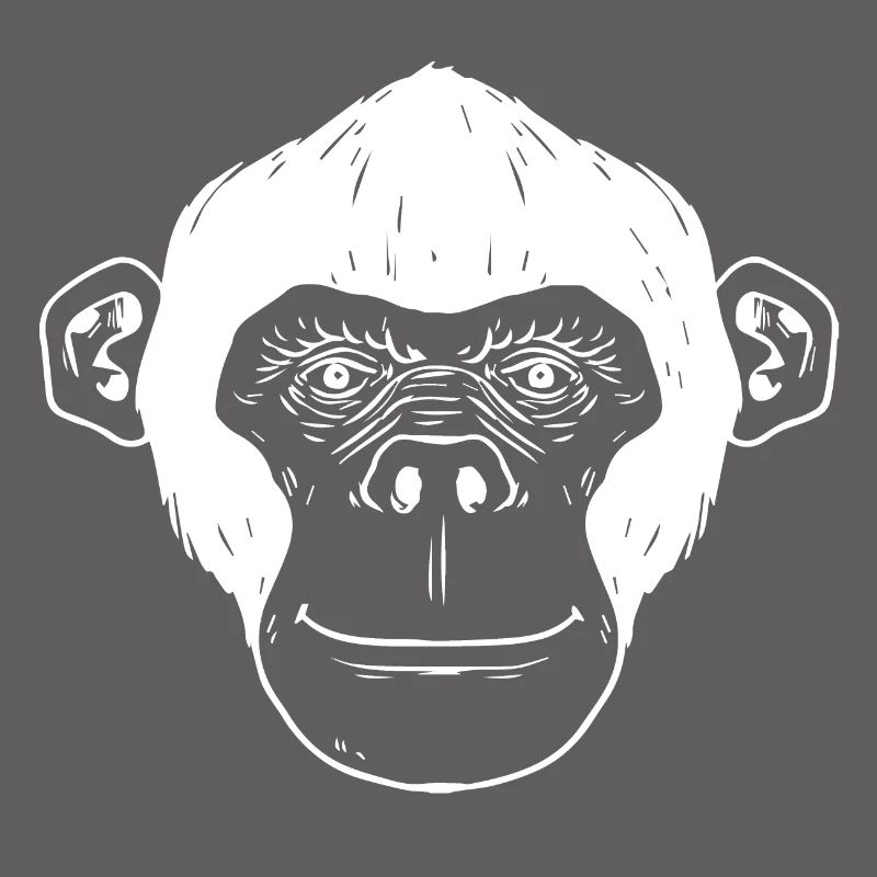 Monkey chimpanzee monkey face gift monkey