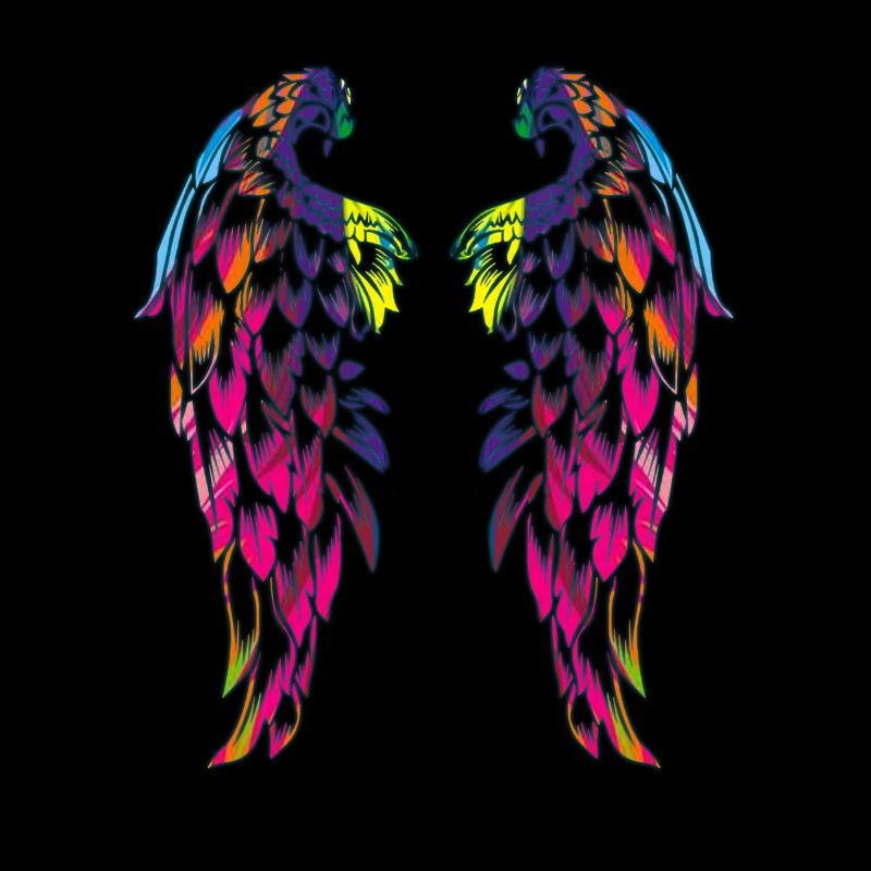 coloured wings