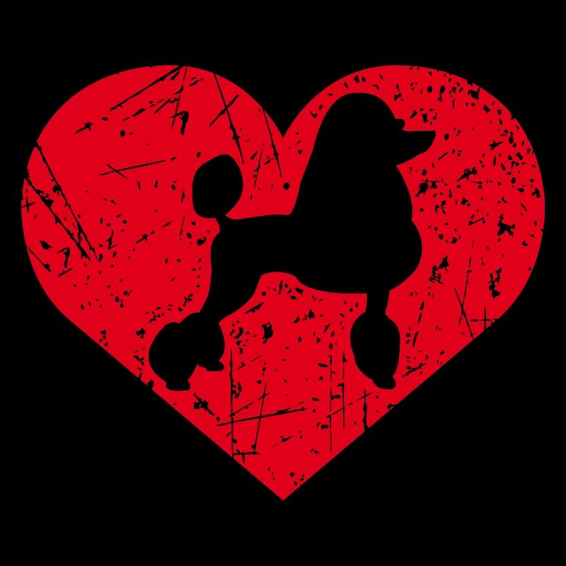 Coeur de caniche