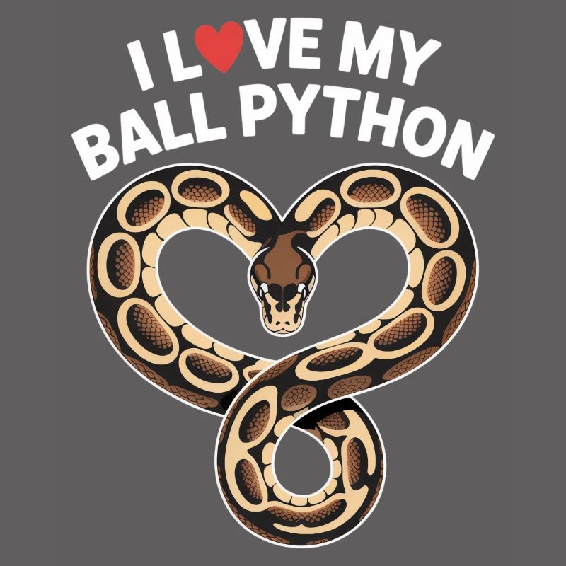 J’adore mon python royal ! Roi python