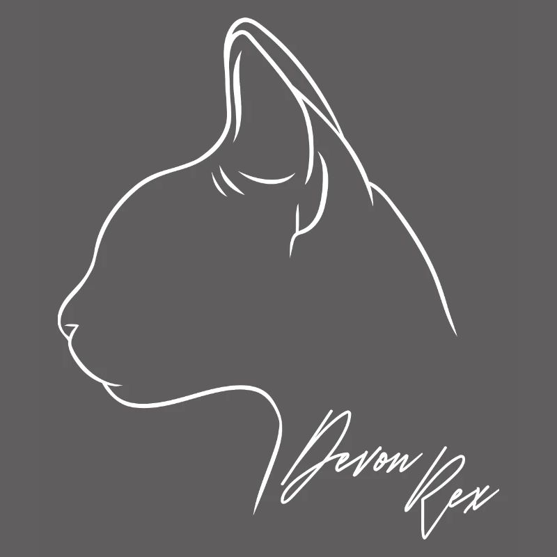 Devon Rex Profile Cat Cat Wilsigns