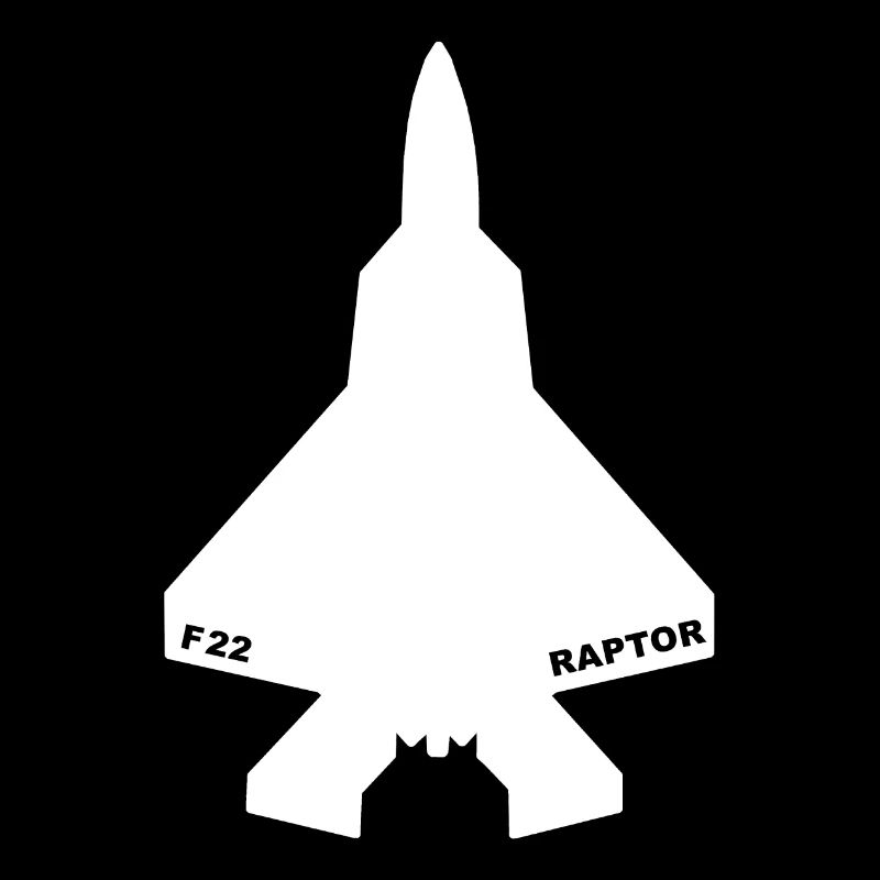 F-22 Raptor weiß