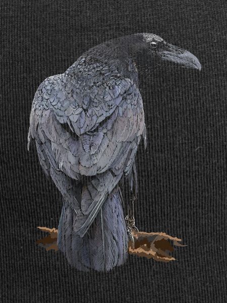 Crow