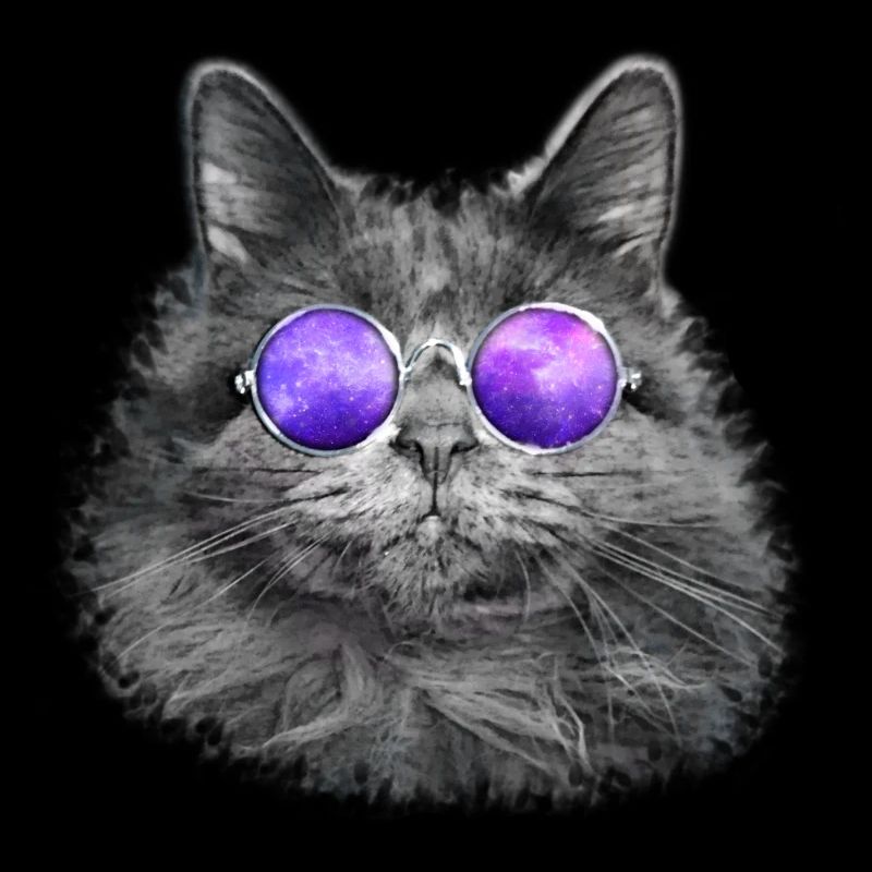 Cool Cat with Sunglasses Cat Funny Gift