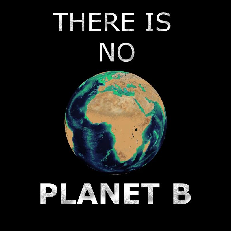 il n'y a pas de planète B