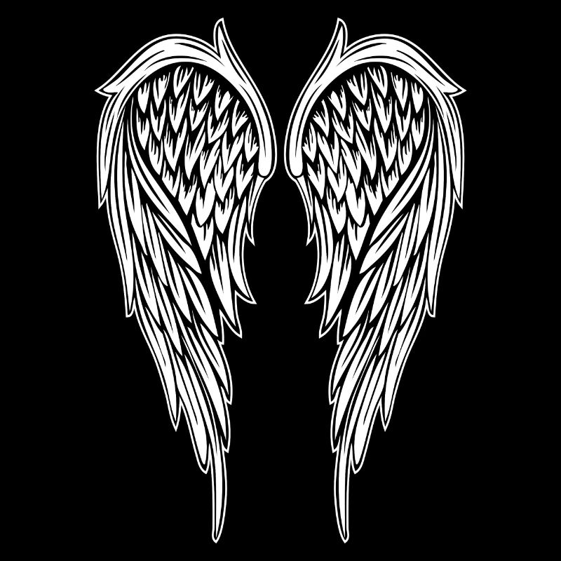 Angel Wing Angel Wings - Large Version