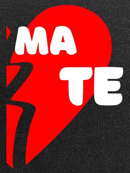Même compagnon