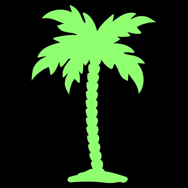 palm tree