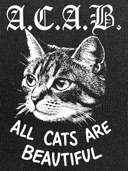 All cats are beuatuiful