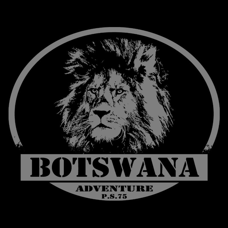 Botswana - Löwe