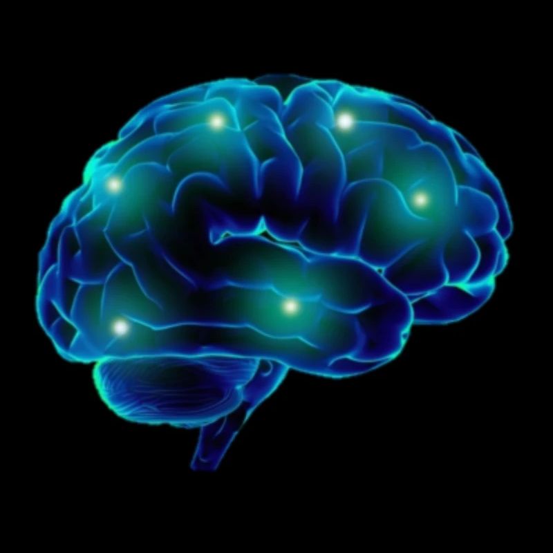 Brain brain blue neurons pathways smart