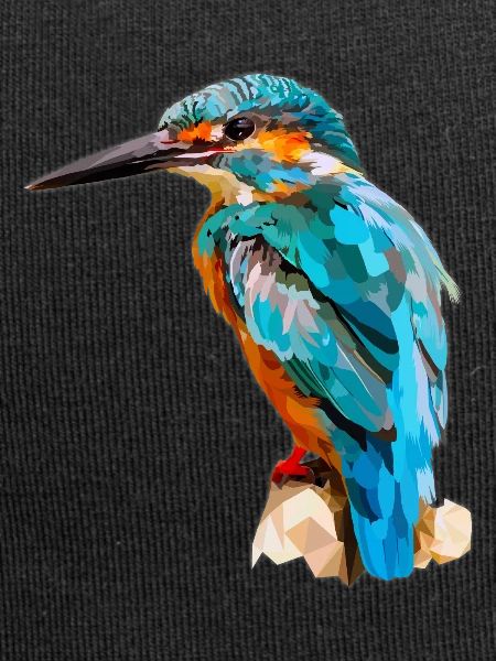 kingfisher
