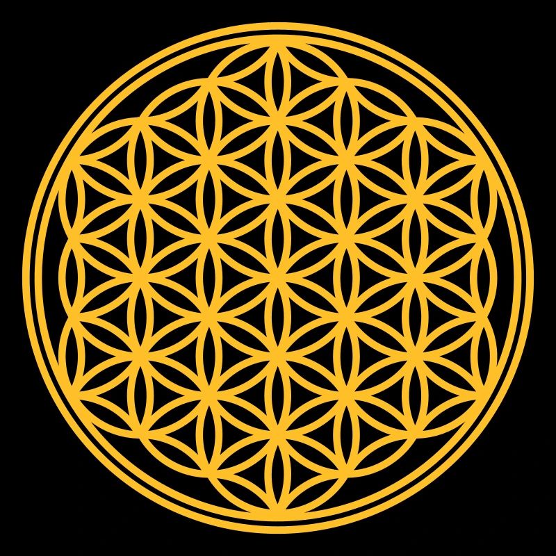 Fleur de la vie - Vector - 01, 1c, sacred geometry