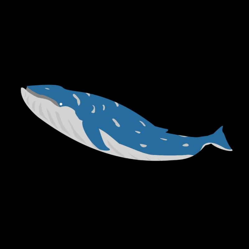 baleines bleues