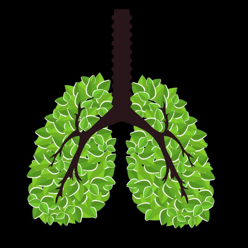 Save the planet green lungs