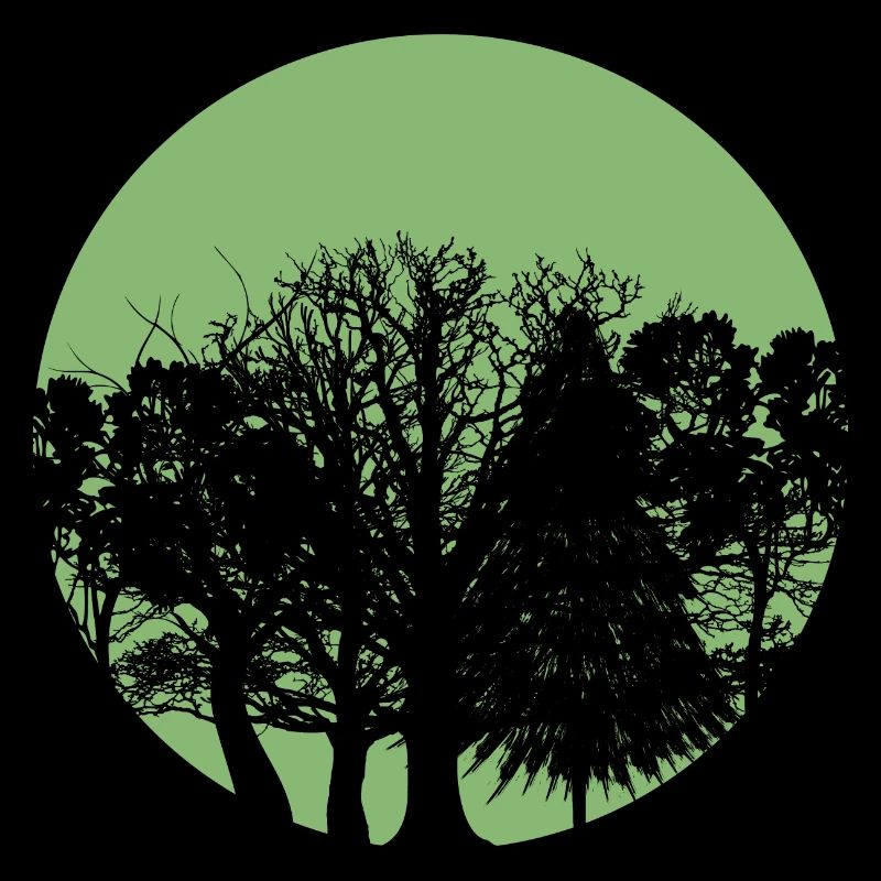 Forêt de cercle