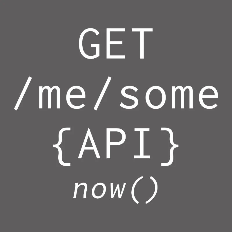 Api programming informatic gift saying