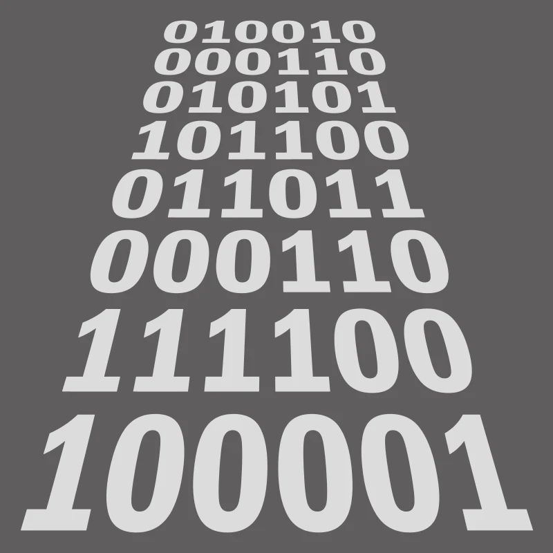 Binary Code Program Language