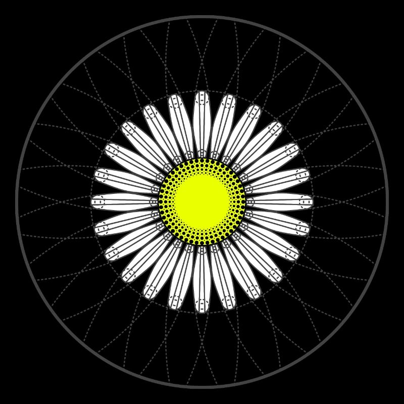Gänseblümchen - Dunkel
