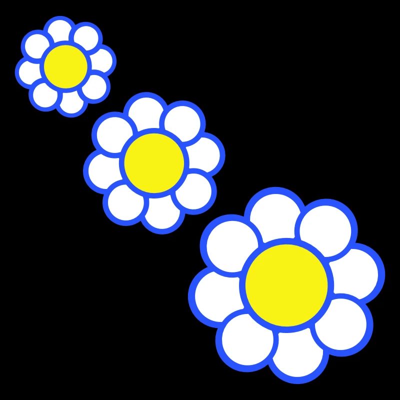 3 White Daisies Flowers Spring Summer Pretty