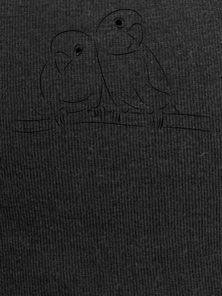 oiseaux tourtereaux