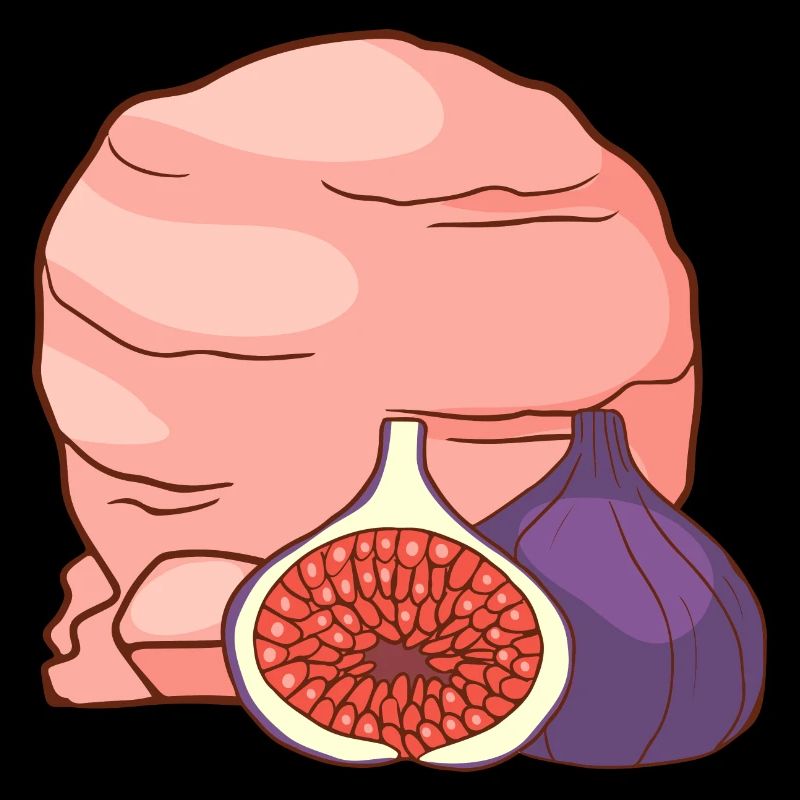 Feigenfrucht Eis Speiseeis Eiskrem Eiscreme