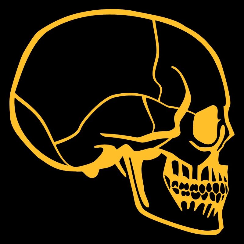 skull on the side