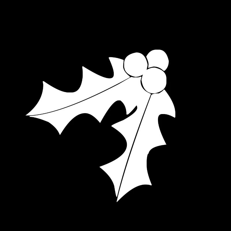 Blanc gui à noël