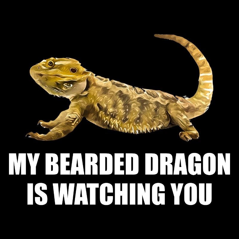 Mon dragon barbe vous regarde