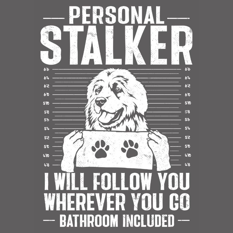 Great Pyrenees Hund Personal Stalker Pyrenees