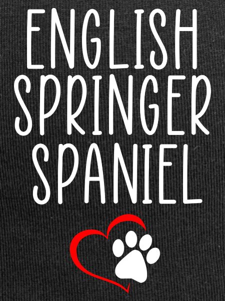 Citation springer anglaise
