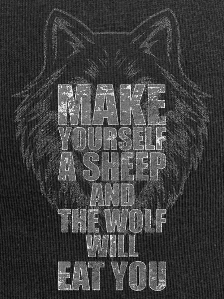 Wolves Dog Grey Wolf