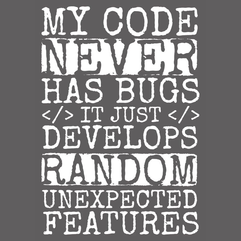 Software Ingenieur Informatiker Programmierer